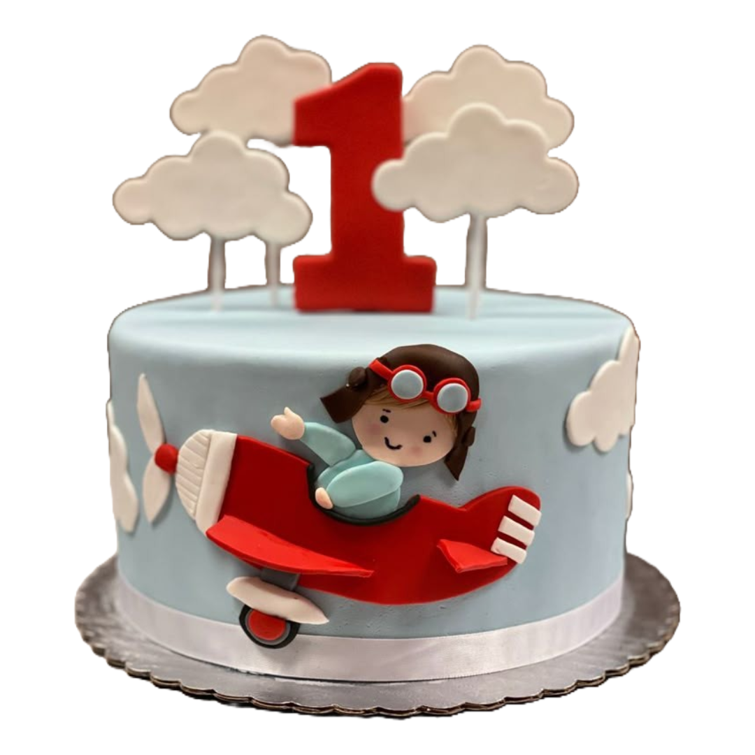 Baby Pilot Airplane Cake | Paul's Bakers
