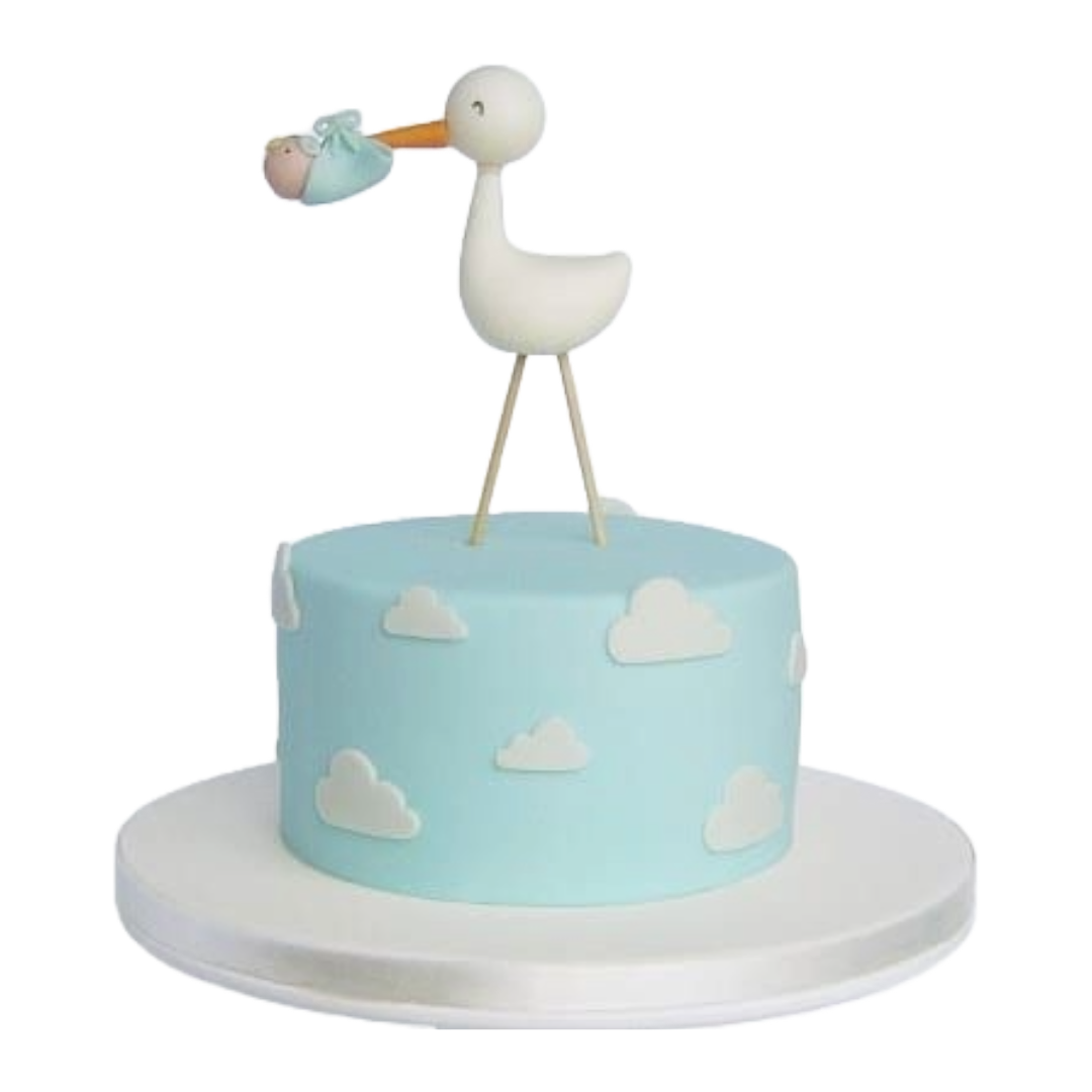 Gender Reveal Cake